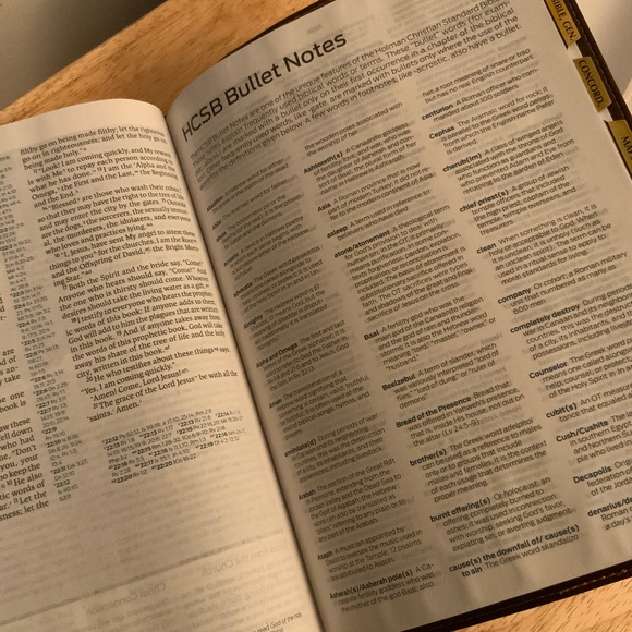 HCSB The Gospel Project Bible, Brown Leathertouch, Index Tabs (New in box) - Picture 7 of 16